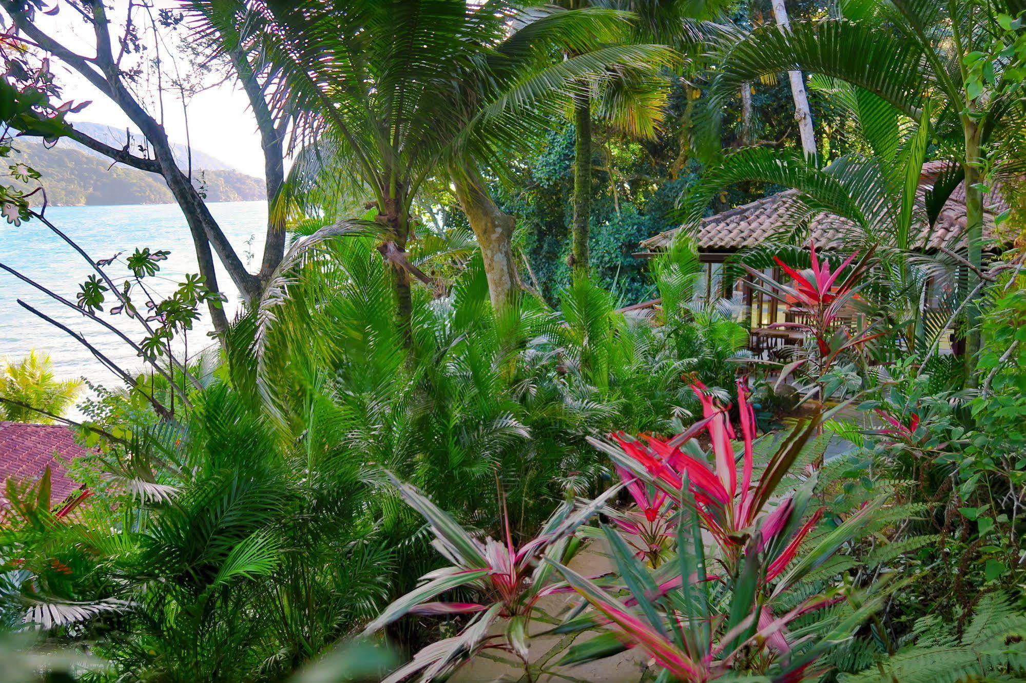Atlantica Jungle Lodge Vila do Abraao ภายนอก รูปภาพ